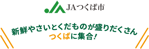 JAつくば市　新鮮やさいとくだものが盛りだくさん　つくばに集合